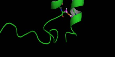 Plegamiento tridimensional de proteínas: ESTRUTURA TERIARIA combinación de estructuras secundarias y
