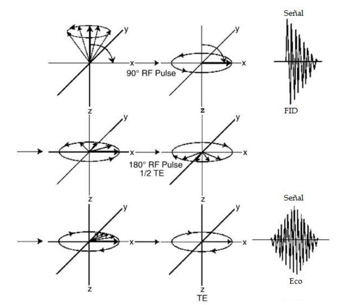 20 2.3. Tipos de excitación. Introducción a las secuencias de pulsos El eco de espín puede ser generado a través de dos técnicas de excitación de los espines.