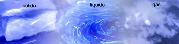 Características físicas de los medios 1) Disuelve muchos gases, líquidos y sólidos. 2) Hierve a 100ºC y solidifica a 0ºC. acuáticos.