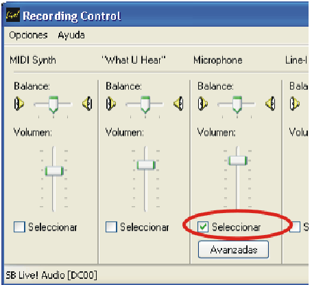 Play Control nos aseguraremos de que la casilla de Silencio del micrófono esté seleccionada (nos aseguramos así que no haya interferencias con nuestra voz y los sonidos del ordenador.