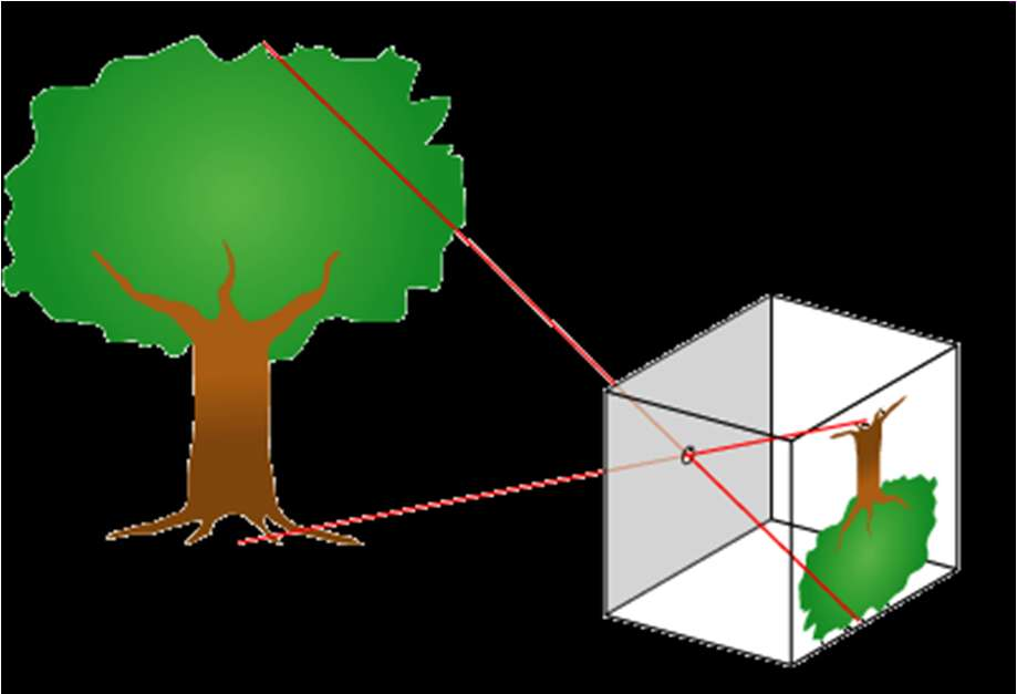 Óptica Geométrica Pinhole Si se hace un orificio en una caja se verá una imagen proyectada sobre la cara opuesta al orificio.