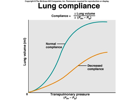 DISTENSIBILIDAD O COMPLIANCE La distensibilidad o compliance es la facilidad con la cual se pueden expandir los pulmones y