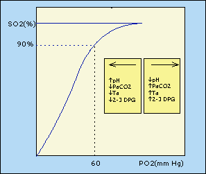 EFECTO BOHR En un ambiente ácido, la afinidad de la hemoglobina por el O2 es menor, y el O2 se disocia de ésta más facilmente.