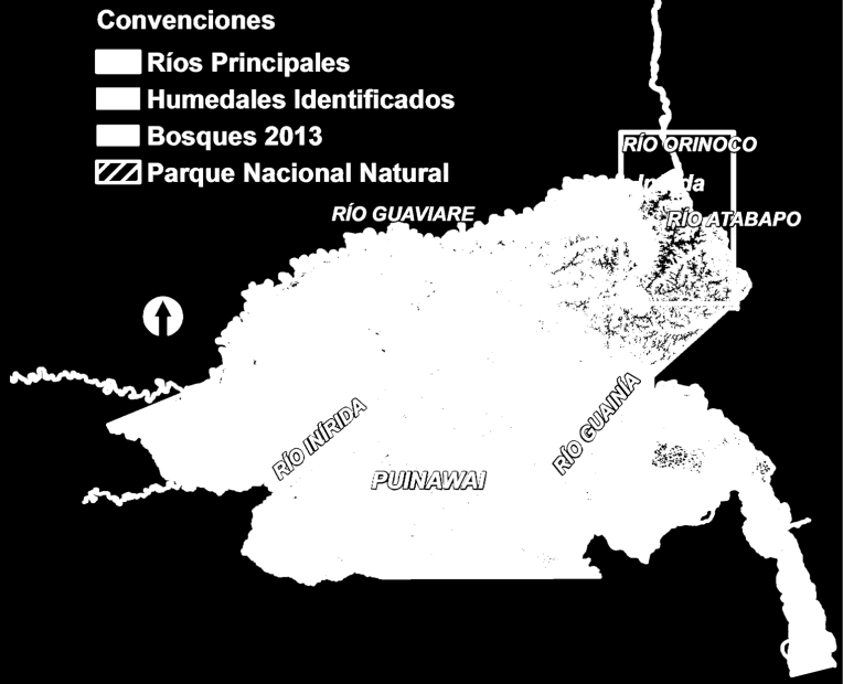 ÁREAS PROTEGIDAS Y ECOSISTEMAS ESTRATÉGICOS Los bosques ocupan cerca del 86% del área total del departamento : El 13,6% de los cuerpos de agua de la Amazonia colombiana se encuentran en Guainía 1,1
