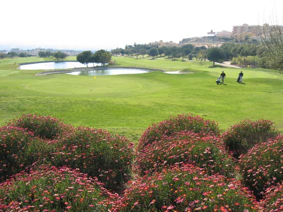 1.- INTRODUCCIÓN En los países desarrollados, el Golf se ha convertido en un deporte que arrastra cada día a más aficionados, ocupando gran parte de sus horas de ocio.