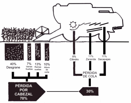 Determinación de Pérdidas durante la Cosecha de Soja Para verificar la eficiencia de cosecha y el funcionamiento de una cosechadora, es necesario evaluar las pérdidas (Figura 1).