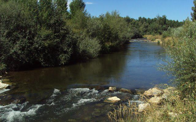 Río Órbigo en Villamor de Ó. León.