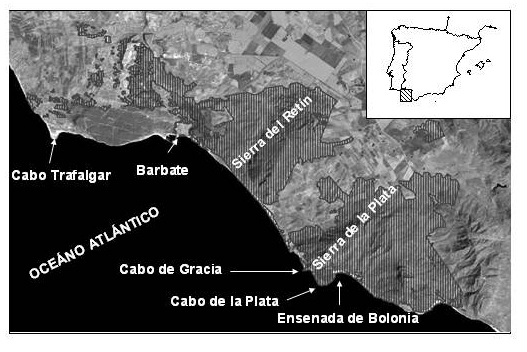 18 del denominado Arco de Bolonia (Fig. 1). Las sierras del Campo de Gibraltar son una de las formaciones diferenciadas del paisaje andaluz.