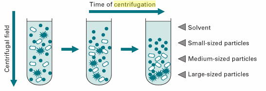 La centrifugación (velocidad y