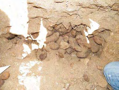 Informe de exhumación de fosa común en Casavieja (Ávila) Marzo de 2009 11 CATA A.