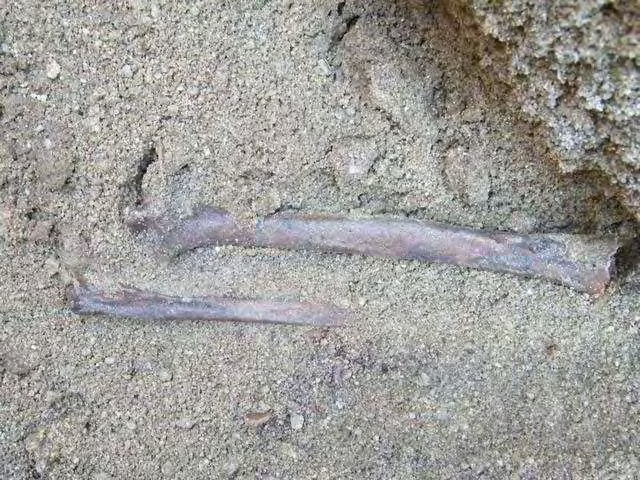 Informe de exhumación de fosa común en Casavieja (Ávila) Marzo de 2009 16 El 13 de marzo de