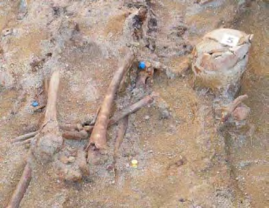 Informe de exhumación de fosa común en Casavieja (Ávila) Marzo de 2009 INDIVIDUO 05. 52 Descripción Individuo en decúbito prono extendido.