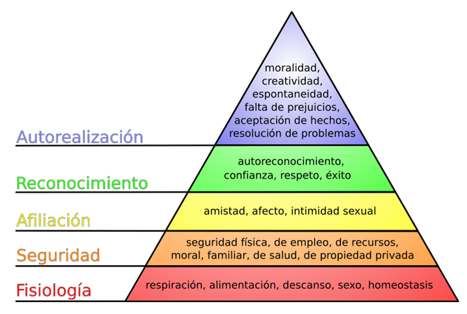 6 Maslow propone cinco necesidades de la motivación en el ser humano, las ordena y agrupa en forma ascendente en una jerarquía a manera de pirámide. 1.