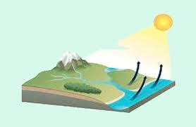 EVAPOTRANSPIRACIÓN Es la combinación de evaporación y transpiración. La evaporación y la transpiración reciben el nombre conjunto de evapotranspiración.