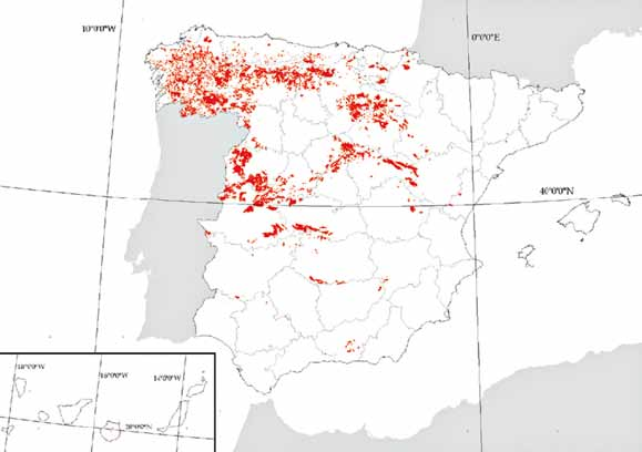 09 PRIMERA EVALUACIÓN del estado de conservación de los HÁBITATS DE BOSQUE de interés comunitario en el País Vasco En la CAPV las comunidades forestales dominadas por el melojo presentan el