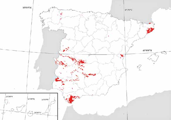 10 9330 Alcornocales 10.3 Distribución geográfica Distribución estimada del tipo de hábitat 9330 en España. Datos del Atlas de los Hábitat de España, marzo de 2005.