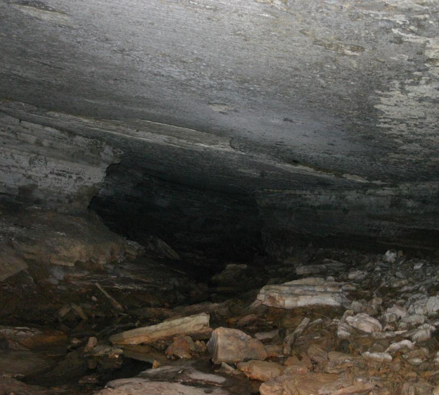 Con más de 400 metros de longitud, la cueva del verraco es el sitio perfecto para la práctica de la espeleología, ubicada en la verdad Solferino,