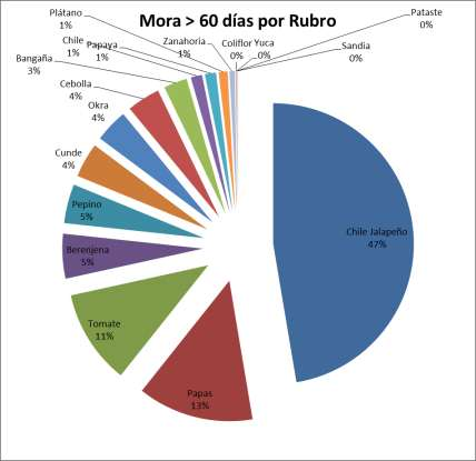 En cuanto a la distribución de la cartera en mora por rubro, el cultivo que presenta la mayor mora es el Chile Jalapeño con un 48%. En segundo lugar se presenta la papa con un 13%. Gráfica 7.