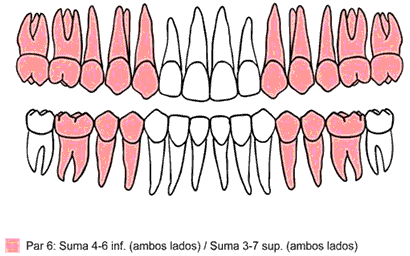 Oral Health and Preventive Dentistry. 2010;8(2):133-7. 3. Marcuschamer MA. Proporción de oro en la oclusión. Ortodoncia Española. 2003;1(43):10-4. 4. Ong E, Brown RA, Richmond S.