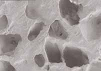 OpteMx es un biomaterial de ingeniería tisular que reproduce las características químicas y estructurales del hueso esponjoso.