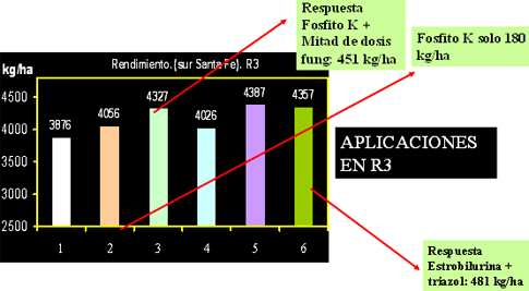por planta, p<0.05) y controlar a Septoria glycines y Cercospora kikuchii entre un 15 al 44% (Tabla 1). Grafico 1. Impacto del fosfito de Potasio en el manejo de las EFC en soja.