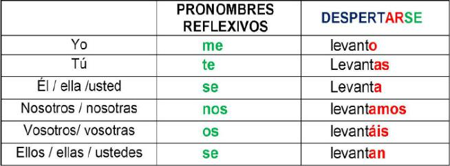 3.4.1 Reflexive Pronouns Reflexive pronouns are pronouns