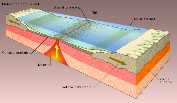 Las fracturas del fondo del rift, originadas por la distensión de la litosfera entre las placas que se separan, producen una disminución de la presión sobre las rocas calientes del mantos