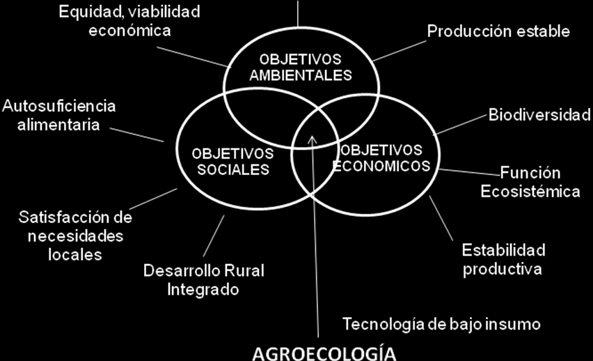 El rol de la agroecología en la satisfacción de los objetivos múltiples de la agricultura sustentable, según Altieri y Nicholls (2000).