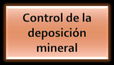 Formación de tejidos duros: Principio de Biomineralización La mineralización inducida biológicamente involucra la