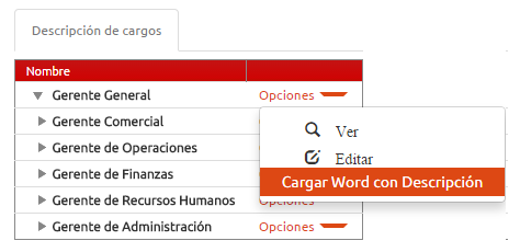 Módulo Descripción de Cargos Incluye el Módulo de Organización.