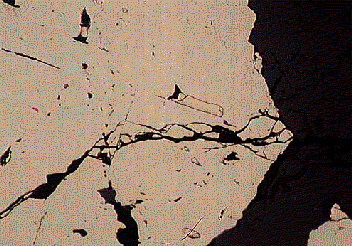 250 µm La arsenopirita (blanca, derecha) está fracturada y contiene inclusiones en forma de listón de bismuto nativo (crema, alta reflectancia, centro).