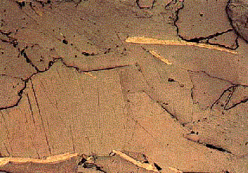 250 µm Una metapelita con escamas de grafito que muestran fuerte pleocroismo y birreflectancia, desde café a gris (orientados este-oeste, arriba derecha) hasta gris (orientados norte-sur, centro),