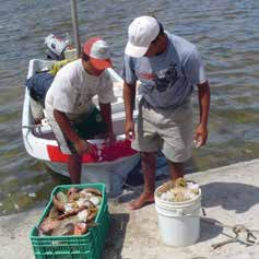 La pesquería de langosta Panulirus argus en el Golfo de México y mar Caribe mexicano motor fuera de borda de 10 hp y se pesca por buceo libre o semiautónomo en el arrecife Alacranes (Figs.