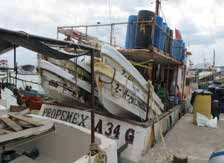 En Quintana Roo se usan barcos como nodriza sólo en la zona norte y sur; por lo regular se utilizan para el transporte de pescadores de la costa a sus campos pesqueros en Isla Holbox y Banco