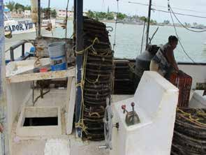 Embarcación mayor equipada con trampas plegables para la captura de langosta en Yucatán. Figura 15.