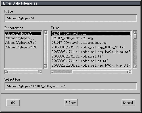 Importación en ENVI 1.- Seleccionar el archivo a importar seleccionando el menú File/Open Image File, dar el nombre al archivo de salida, dar clic en OK.