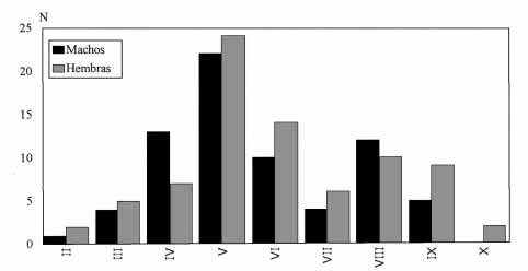 maura en el área de estudio por meses (n = 150). Figure 9.- Number of males and females N. maura observed in the study area on a montly basis (n = 150).