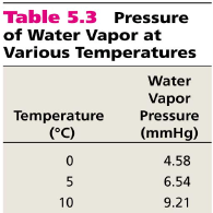 water vapor