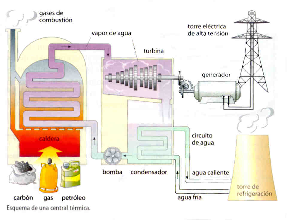 3. Centrales térmicas nucleares En estas centrales se utilizan turbinas de vapor, ya que son de gran potencia. Sin embargo, el vapor no se genera en una caldera, sino en un reactor nuclear.