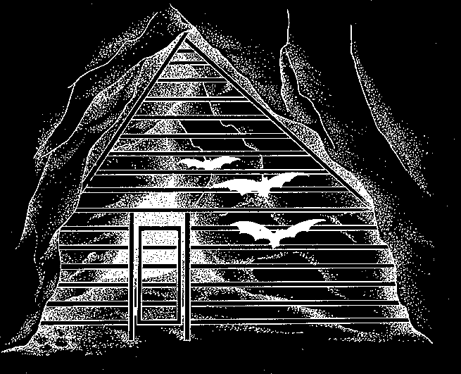 La mayor parte de los murciélagos engullen las presas capturadas al vuelo. Sólo el murciélago orejudo y los rinolófidos parece que disponen de un sitio concreto para comer colgados del techo.