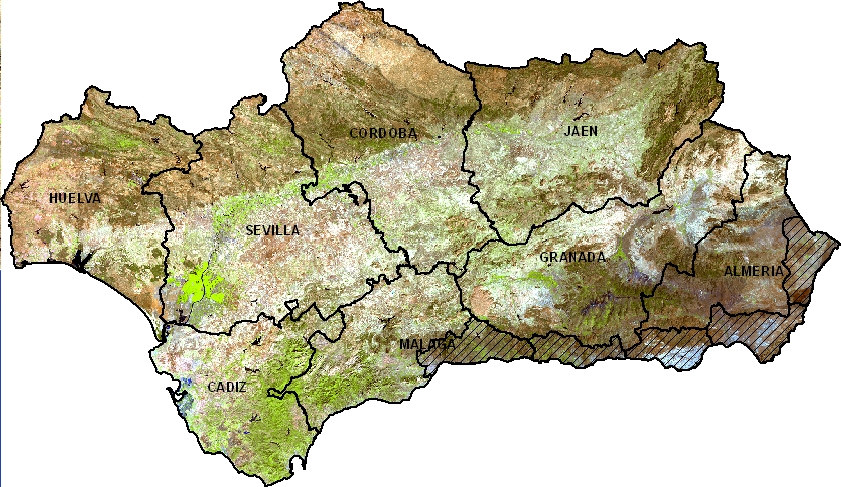 1. Introducción El litoral de Andalucía Oriental concentra la principal zona productora de hortícolas protegidas de la comunidad autónoma andaluza.