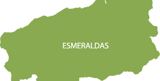 Esmeraldas representa el 7,11% de la superficie de labor agrícola a nivel nacional. La palma africana es su cultivo de mayor producción.