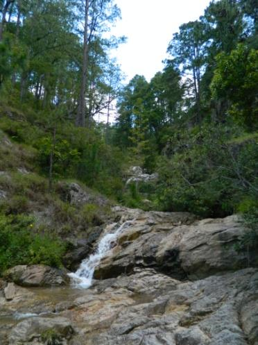 Reserva Natural Cerro Mogotón.