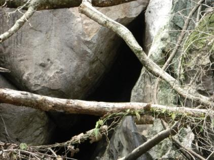 Foto 1: Entrada Cueva N o 1 del Cerro El Abuelo,