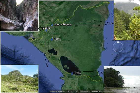 la topografía variada de Nicaragua, producen tres regiones biogeográficas distintas, con características bien definidas de clima, suelo y topografía: Las tierras bajas del Pacífico la cual es seca,