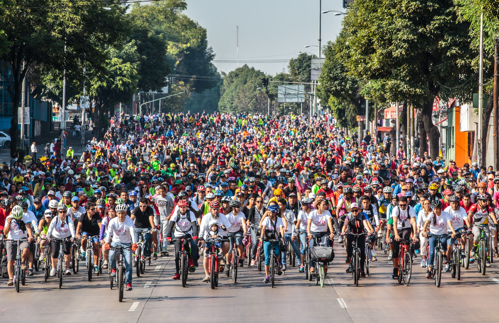En el camino hacia una Ciudad sustentable, la movilidad ciclista juega un papel de vital importancia.