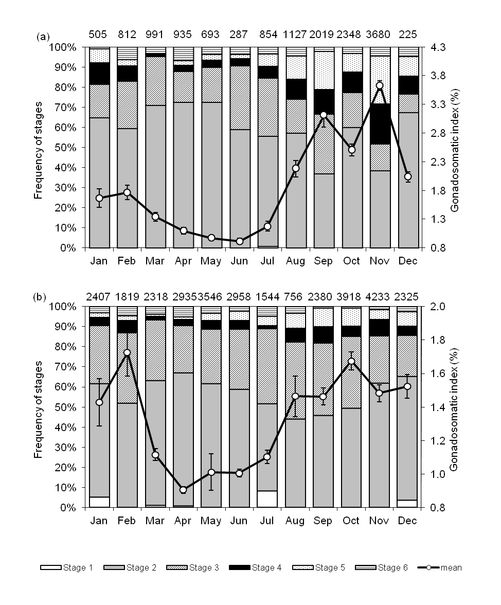 Figura 11. Frecuencia de los estadios de madures, índice gonadosomático promedio para hembras de congrio dorado a través de los meses. También se indica el número muestral.