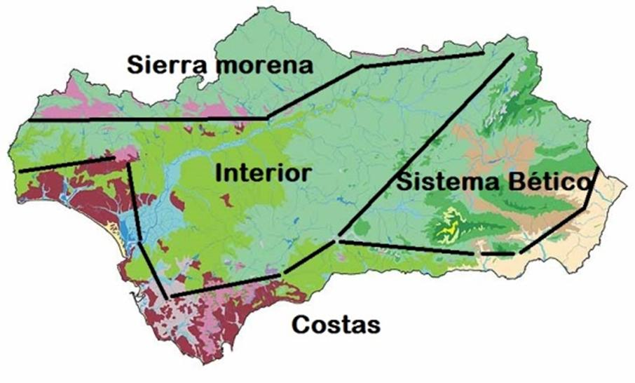 6º Sitúa sobre este mapa el tipo de vegetación que corresponde a cada zona. 7º Encuentra cinco tipos de clima que se dan en España. Suerte!
