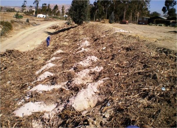 Respecto a la lombricultura, TERSA ha implementado también la crianza de lombrices rojas californianas, para la alimentación de las lombrices, semanalmente se proveen de 21 toneladas de restos del