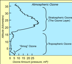 La capa de ozono También hay un importante proceso de destrucción del ozono debido a causas humanas, fundamentalmente la emisión